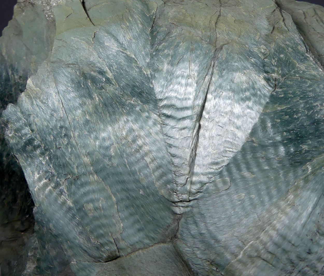 Chrysotile