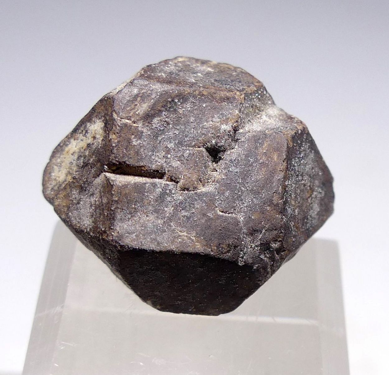 Hauerite