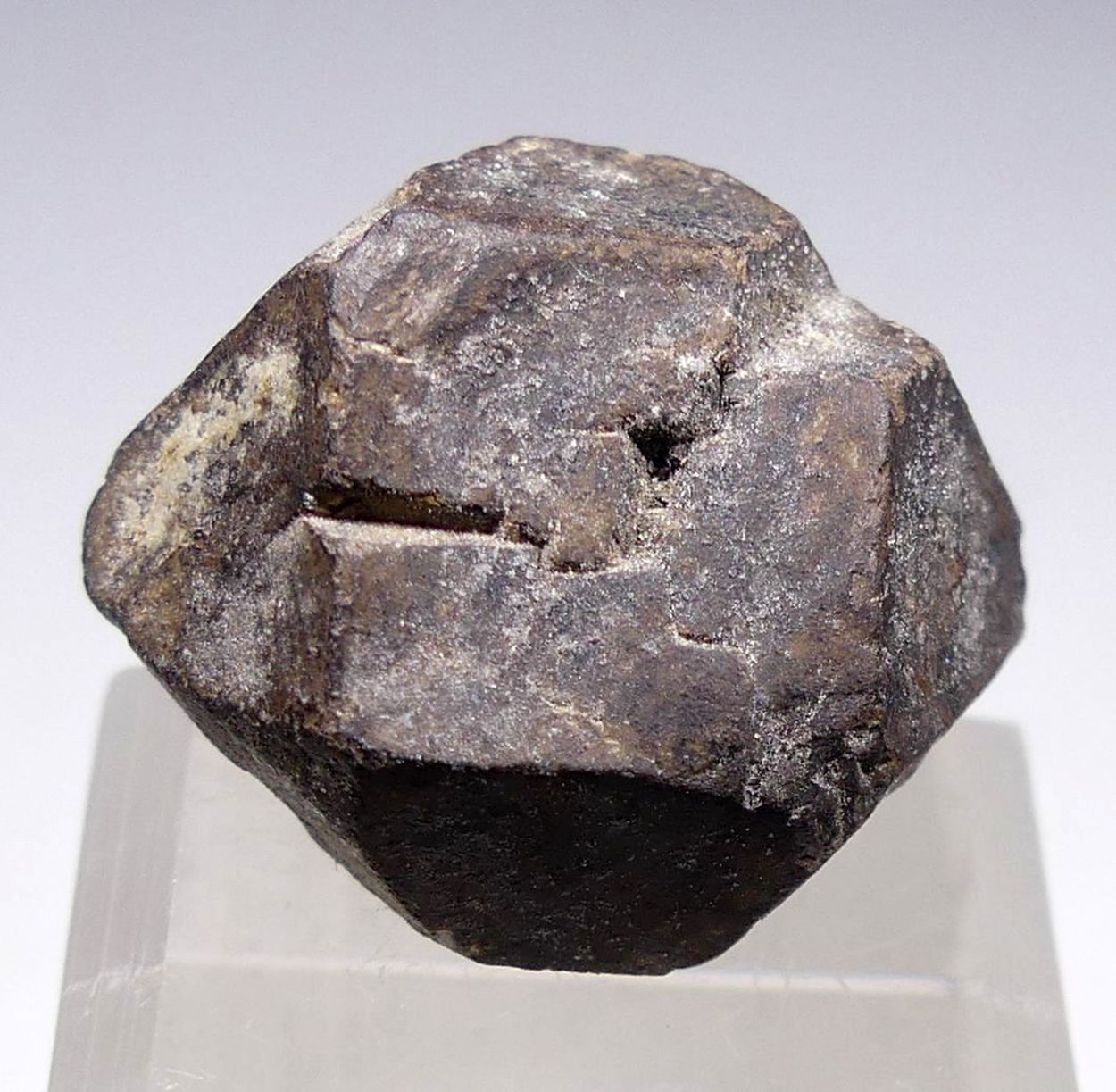 Hauerite