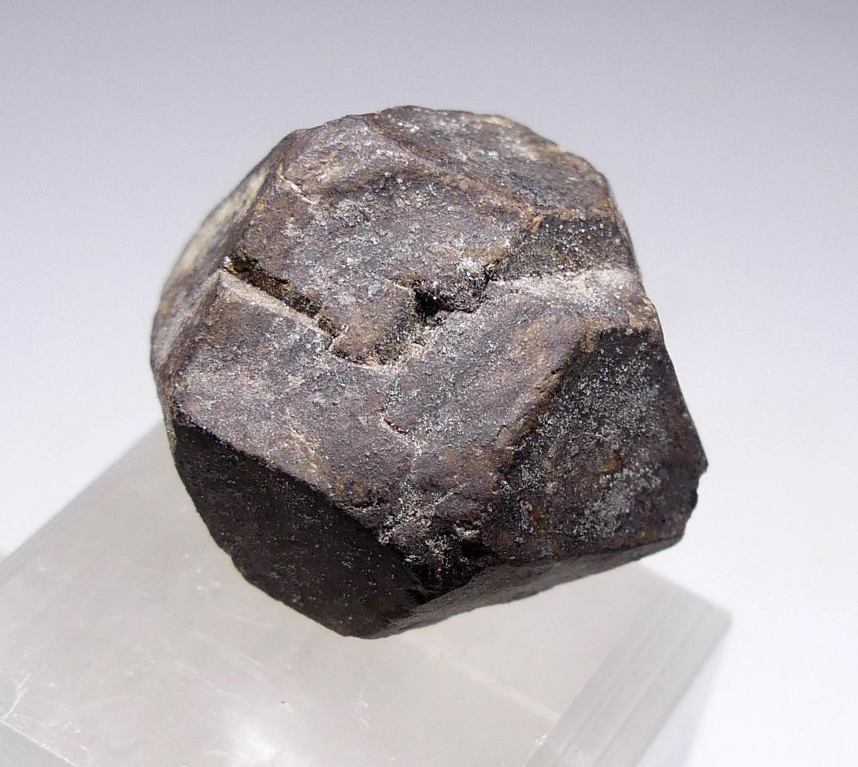 Hauerite