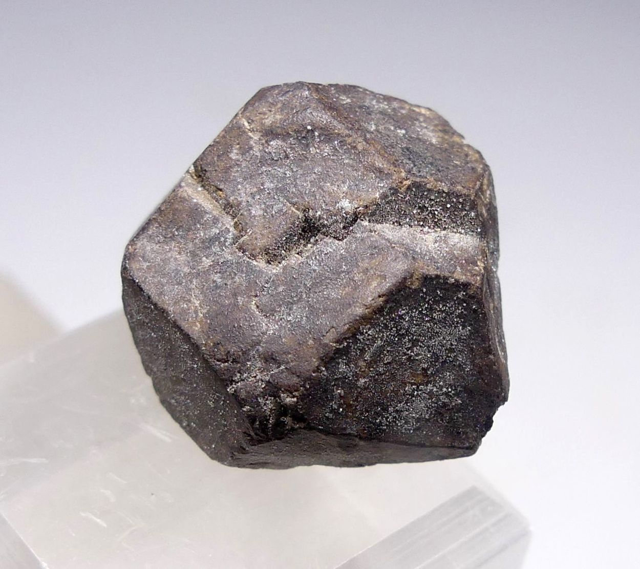 Hauerite