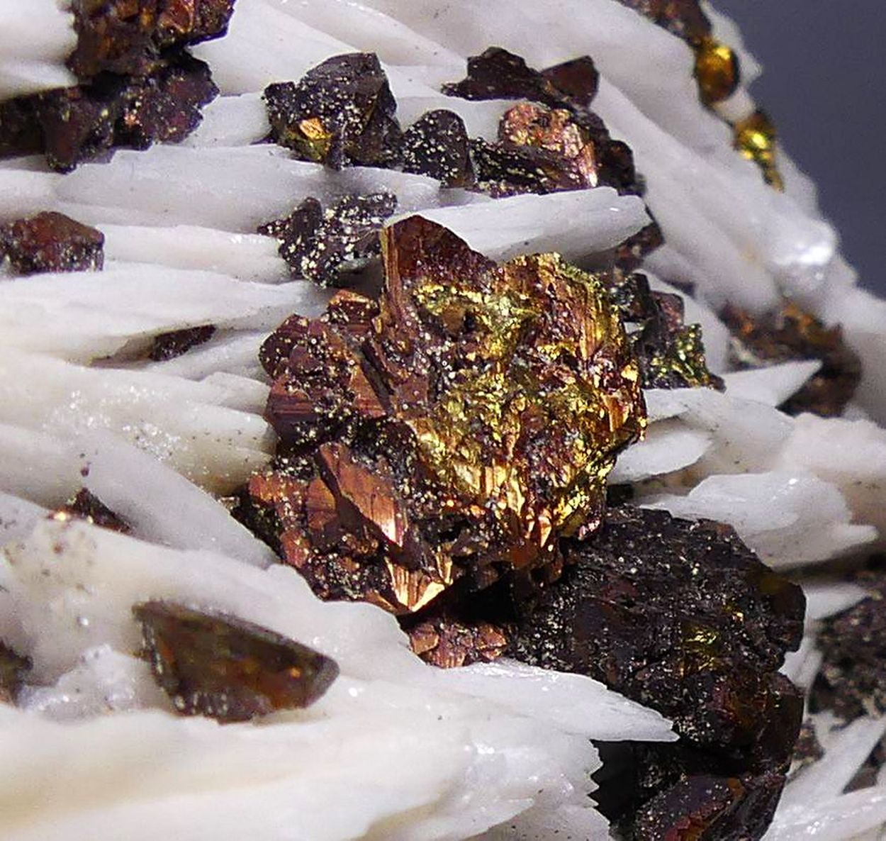 Chalcopyrite On Baryte