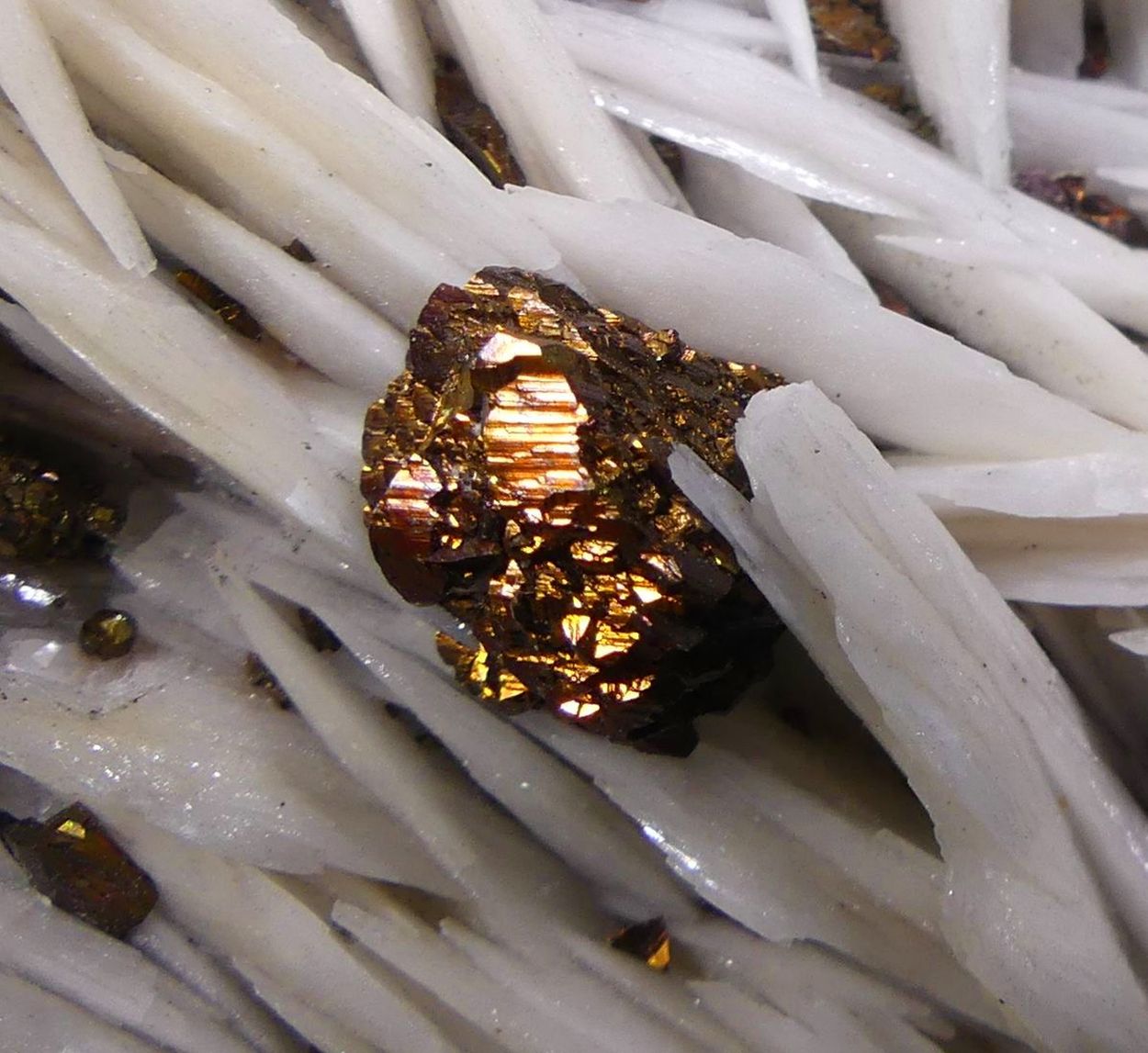 Chalcopyrite On Baryte