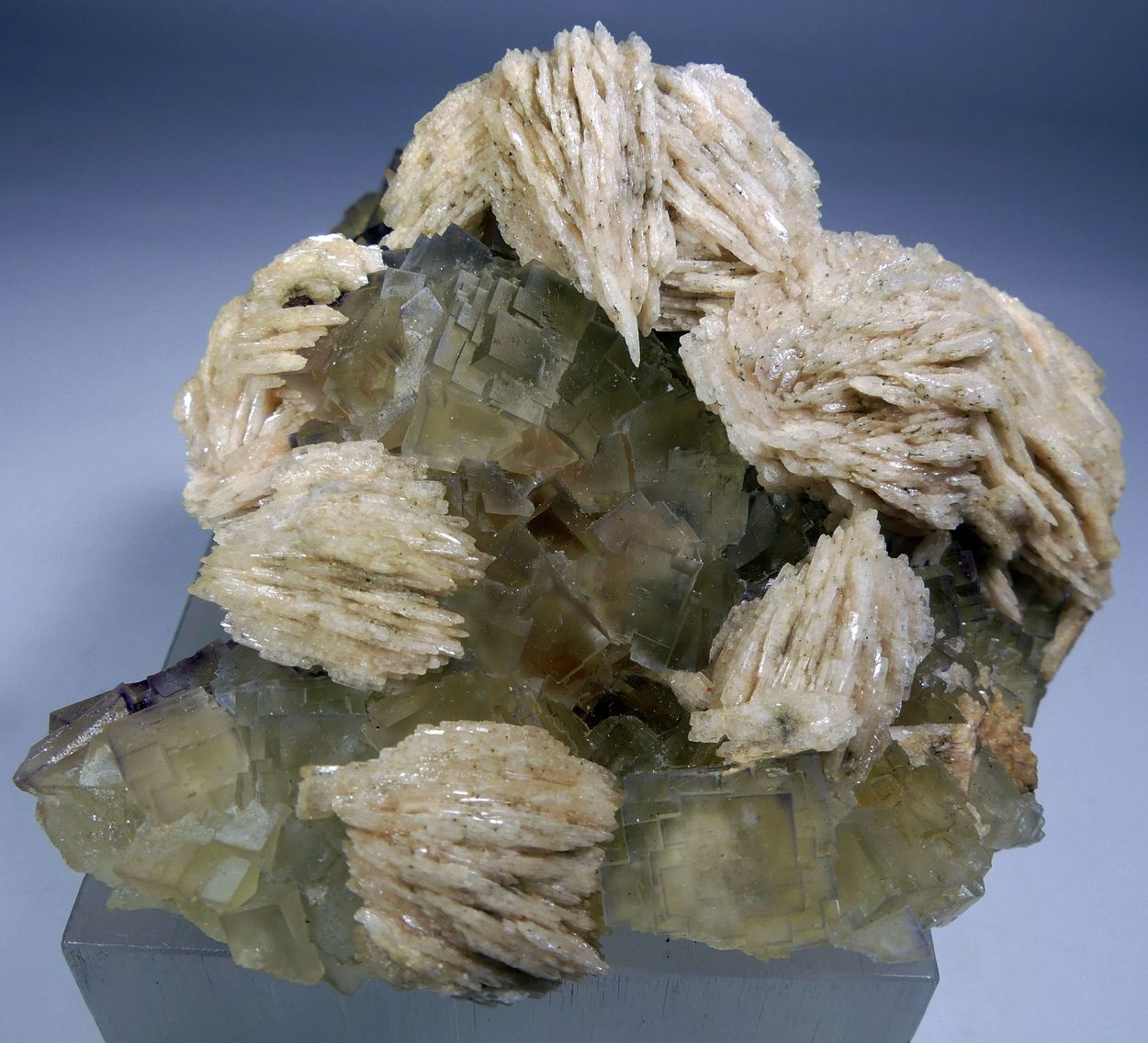 Fluorite & Baryte