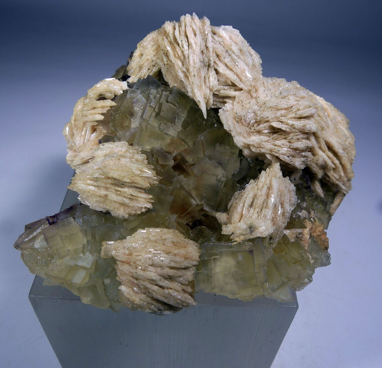 Fluorite & Baryte