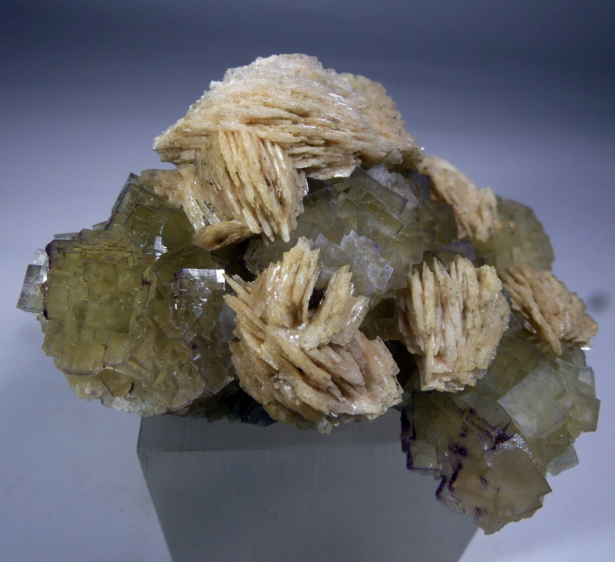 Fluorite & Baryte