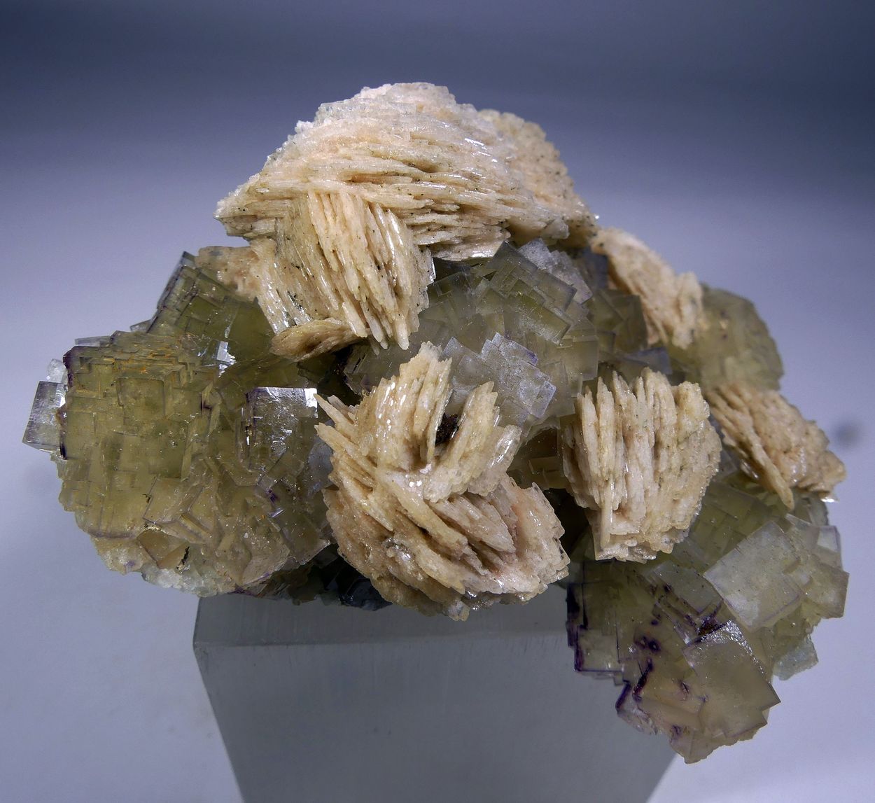 Fluorite & Baryte