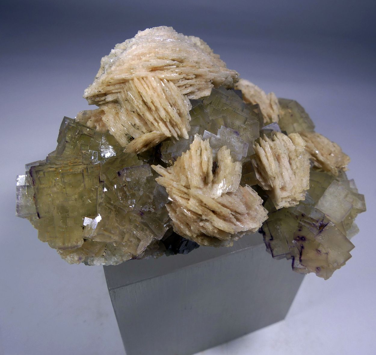 Fluorite & Baryte