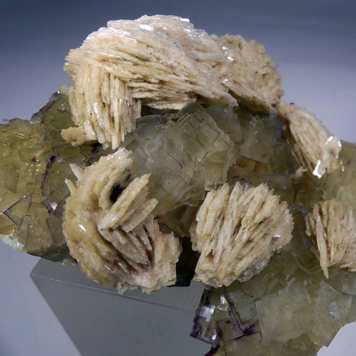 Fluorite & Baryte