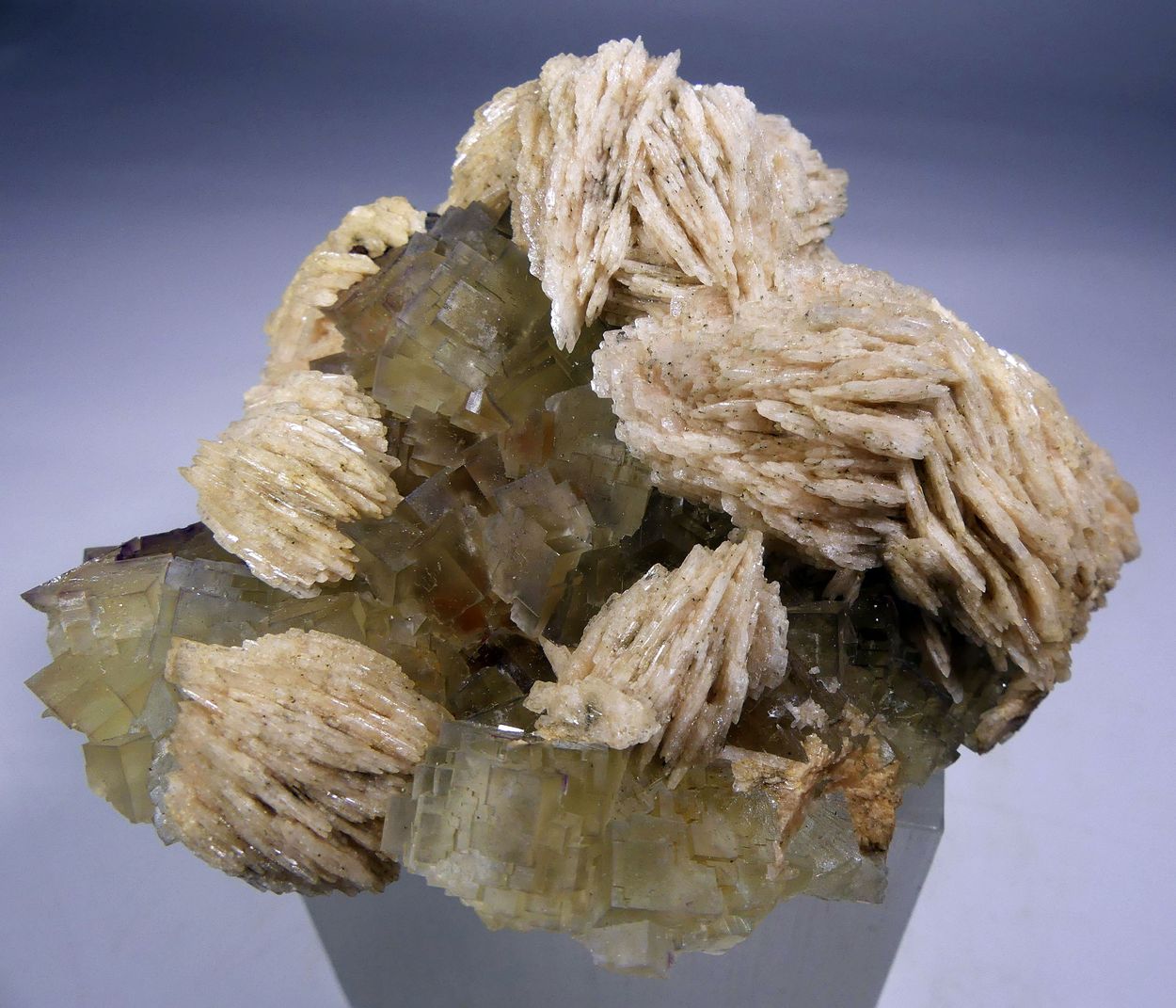 Fluorite & Baryte