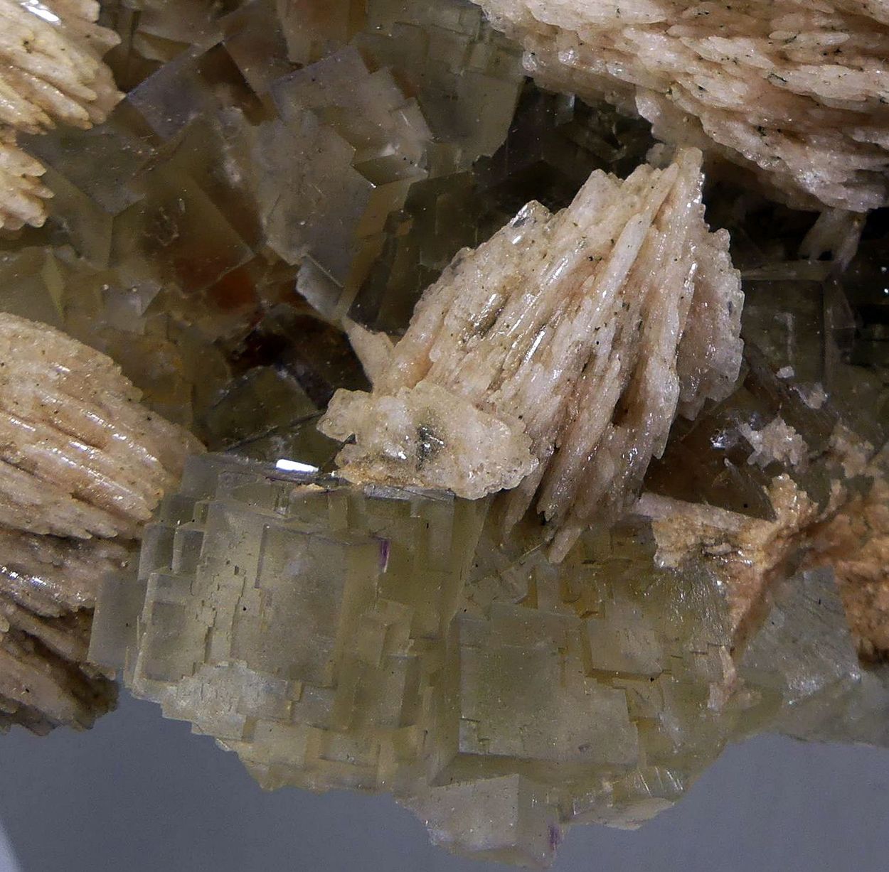 Fluorite & Baryte