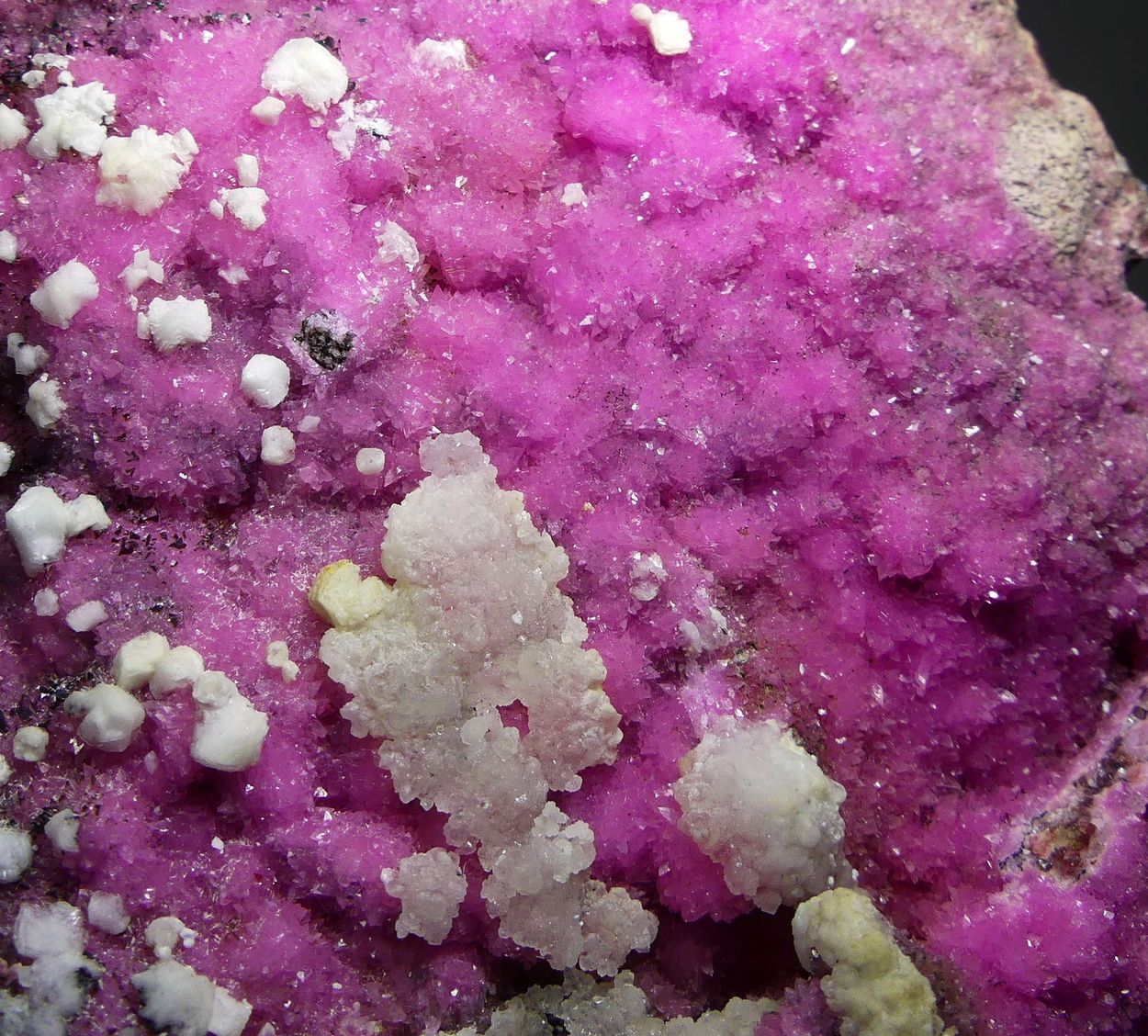 Cobaltoan Calcite With Dolomite