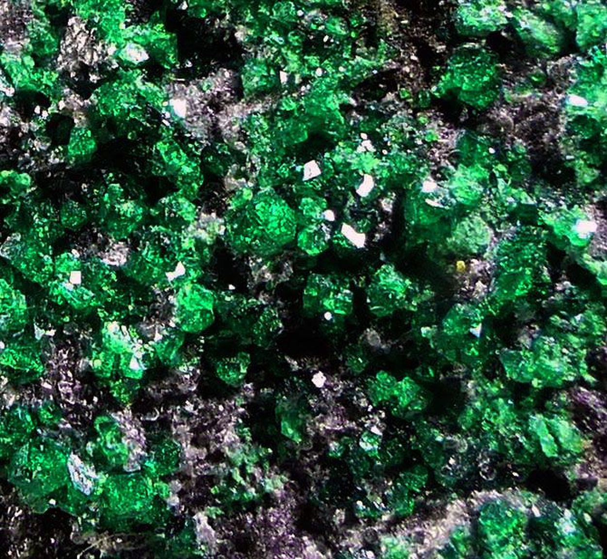 Uvarovite