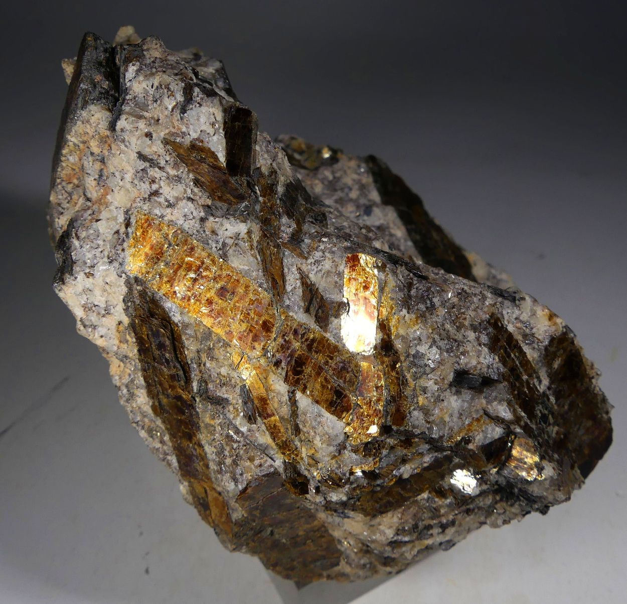 Astrophyllite