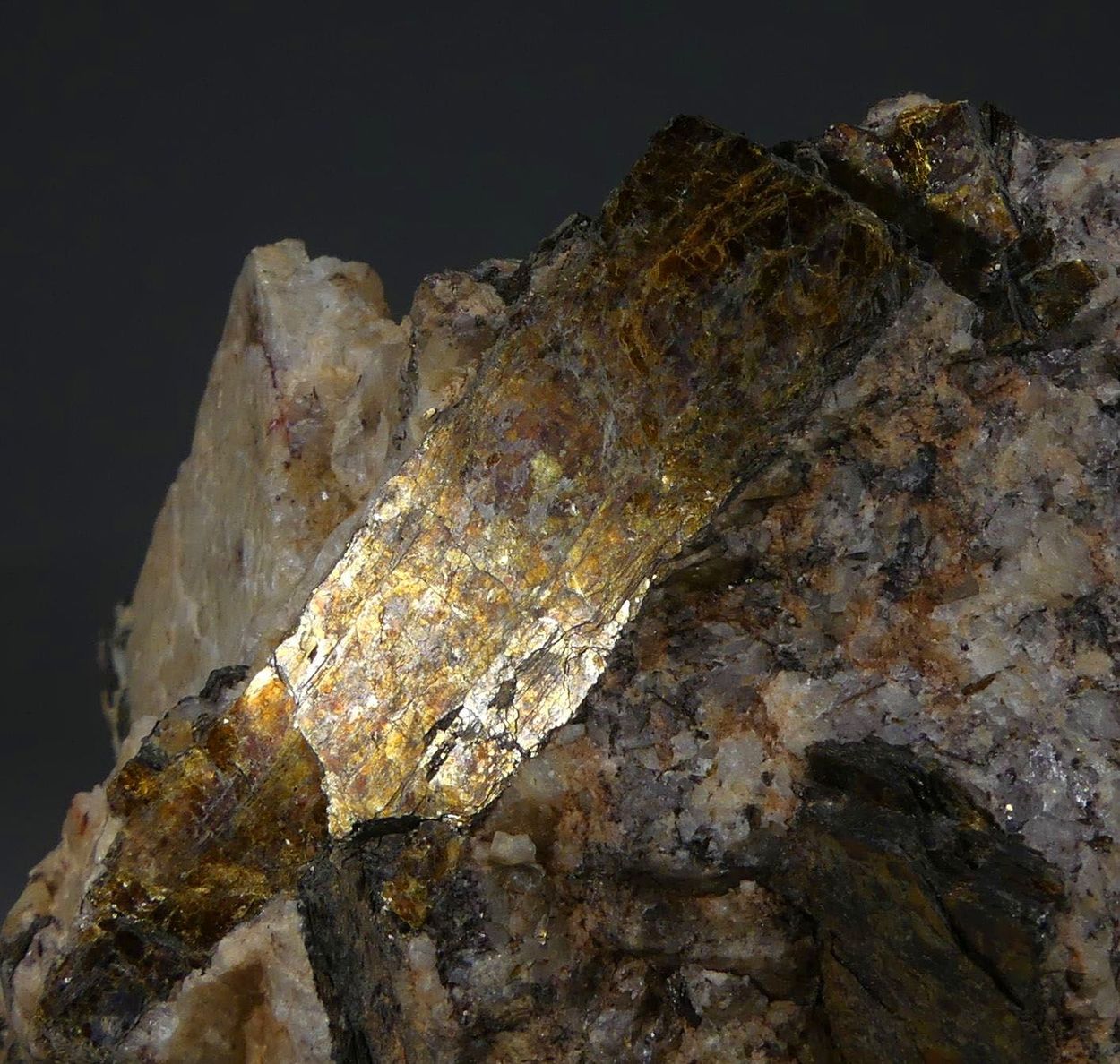Astrophyllite