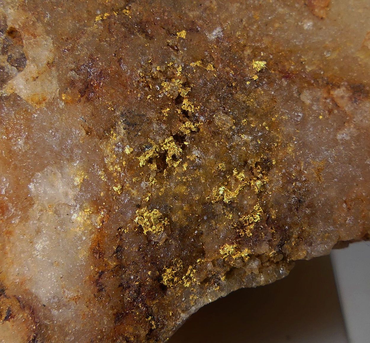Native Gold On Quartz