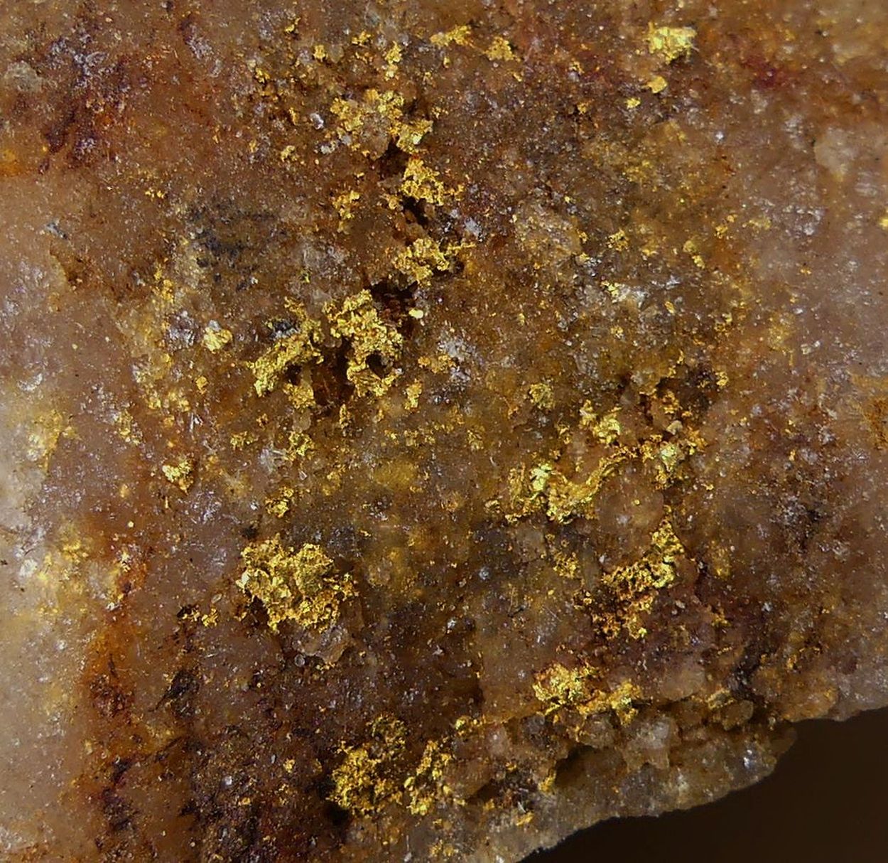 Native Gold On Quartz
