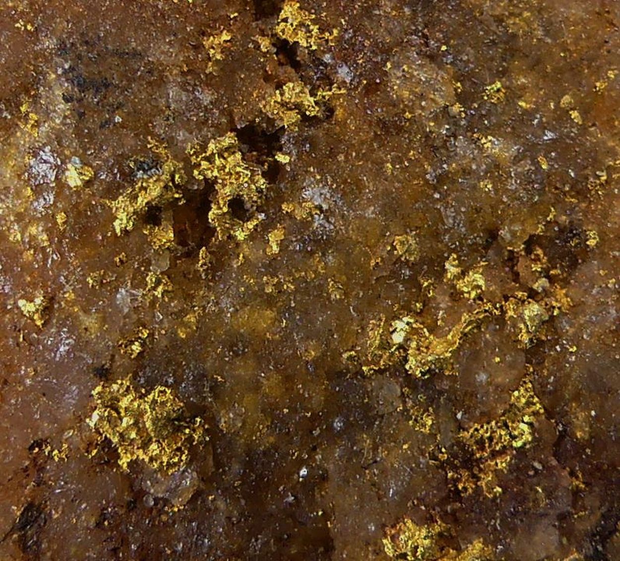 Native Gold On Quartz
