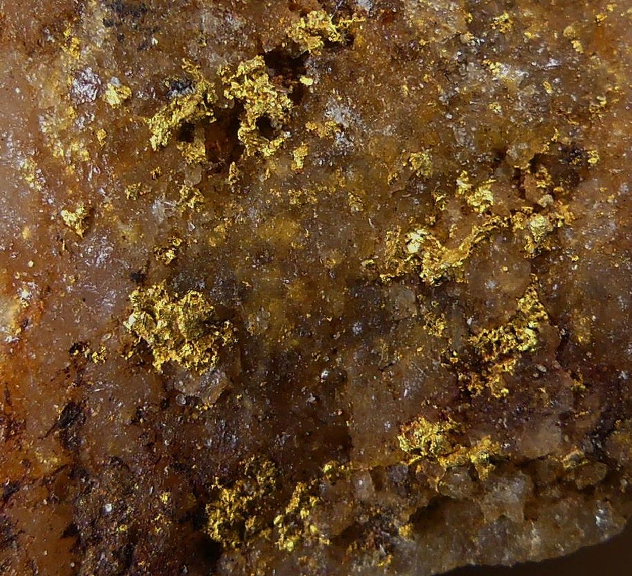 Native Gold On Quartz
