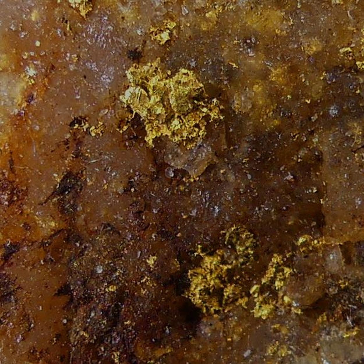 Native Gold On Quartz