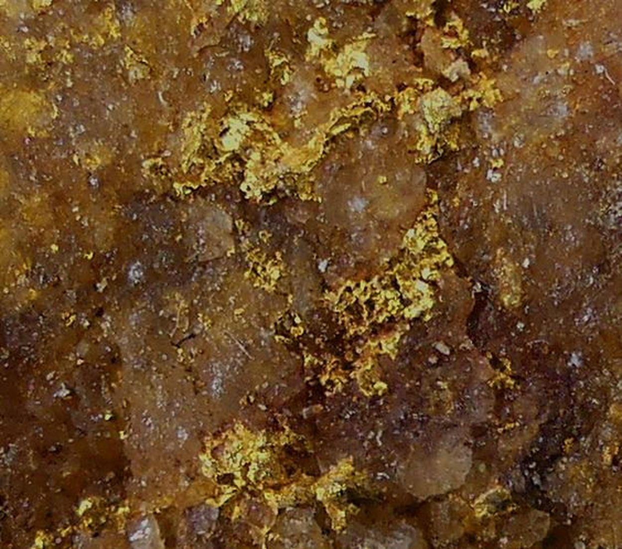 Native Gold On Quartz