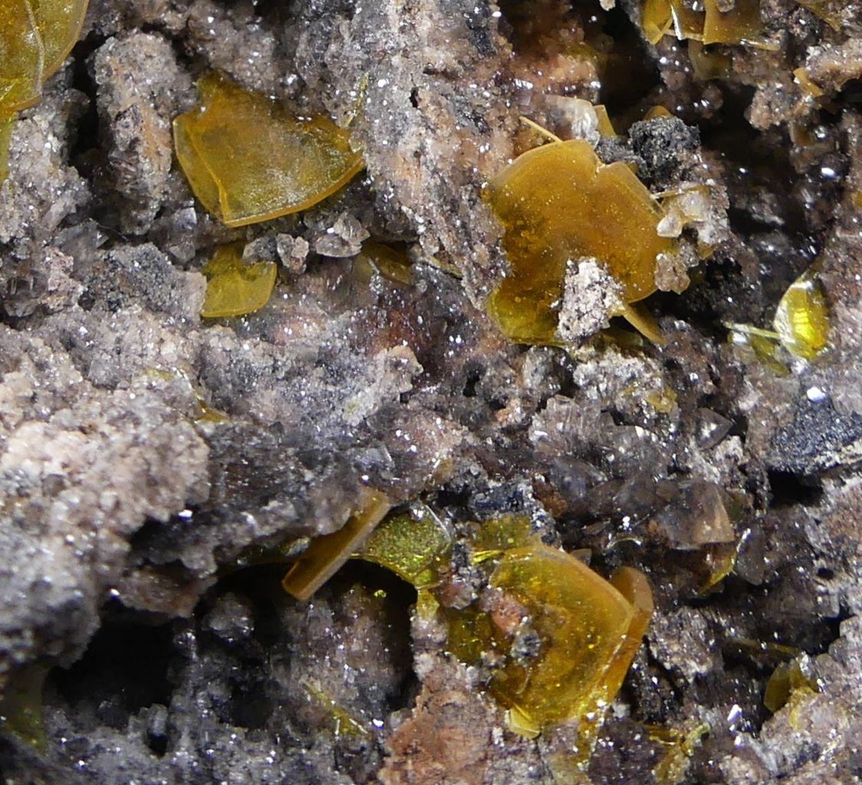 Wulfenite