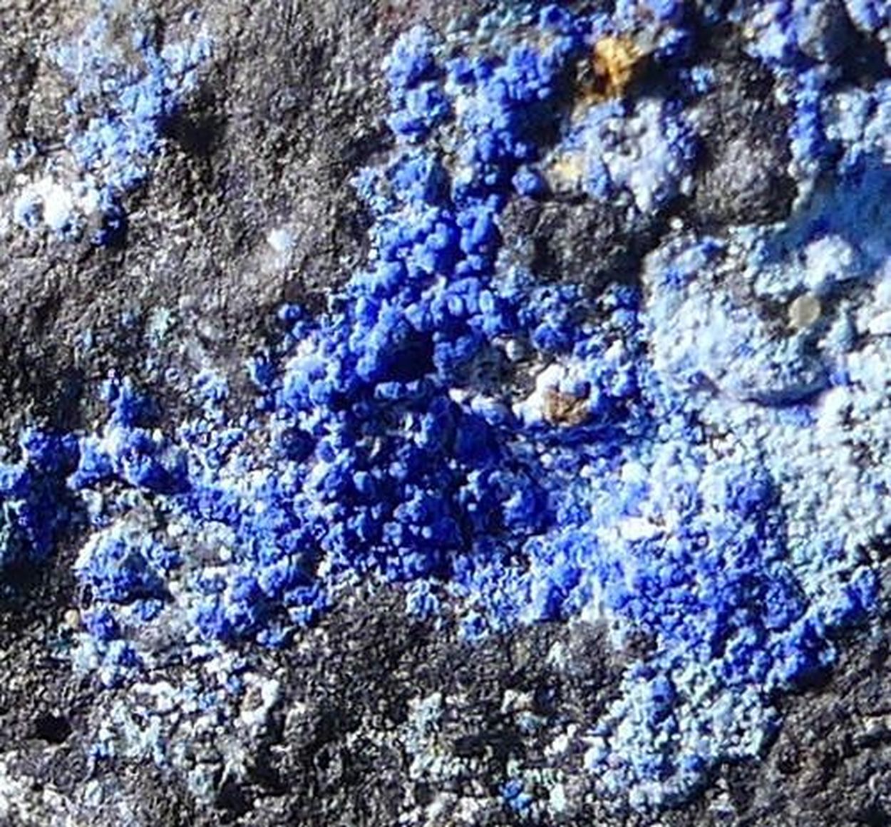 Azurite & Cuprite On Native Copper