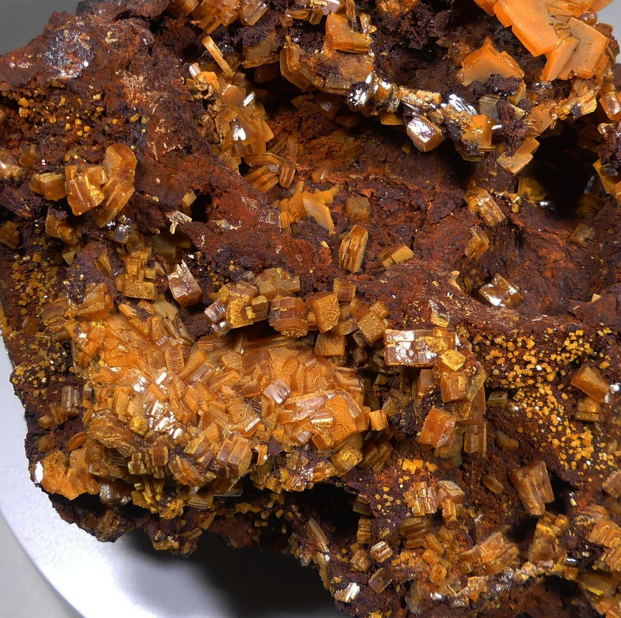 Wulfenite On Galena With Limonite