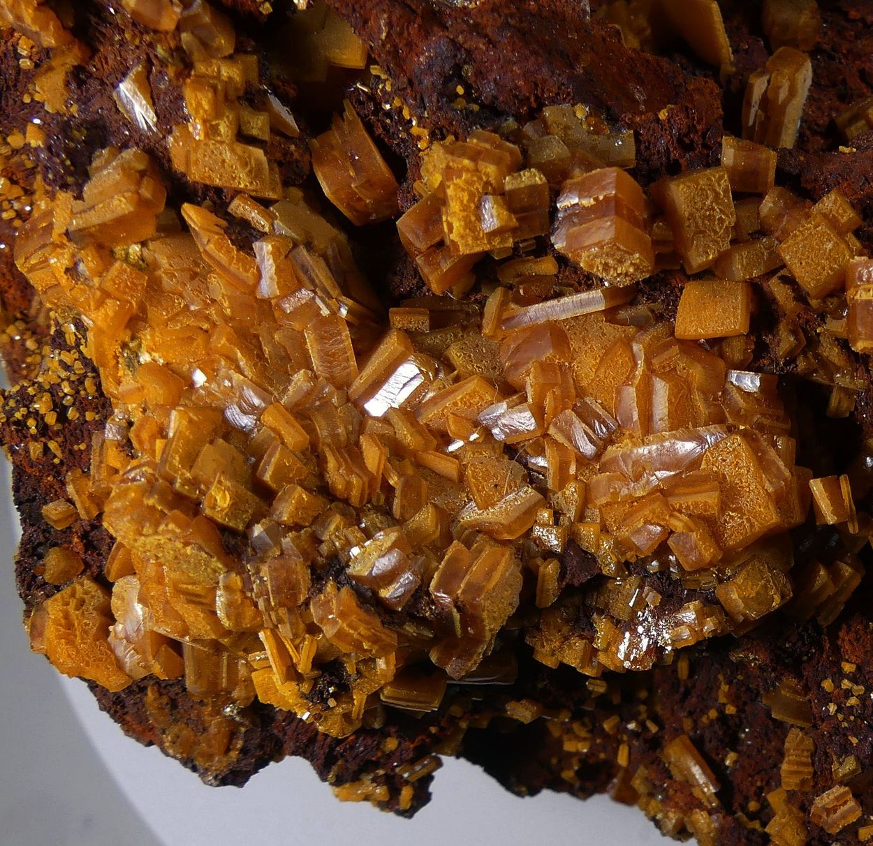 Wulfenite On Galena With Limonite