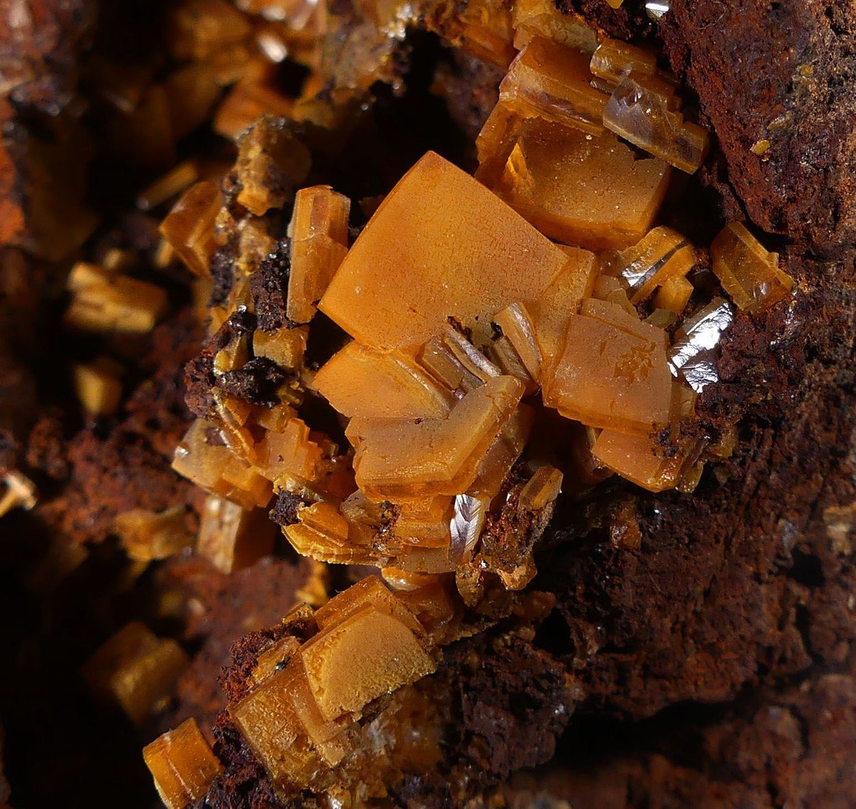 Wulfenite On Galena With Limonite