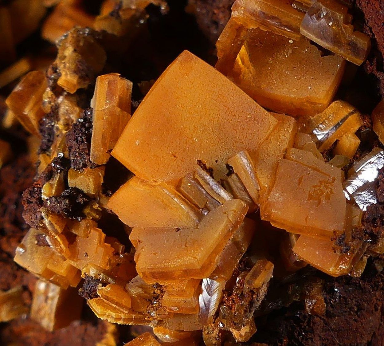 Wulfenite On Galena With Limonite