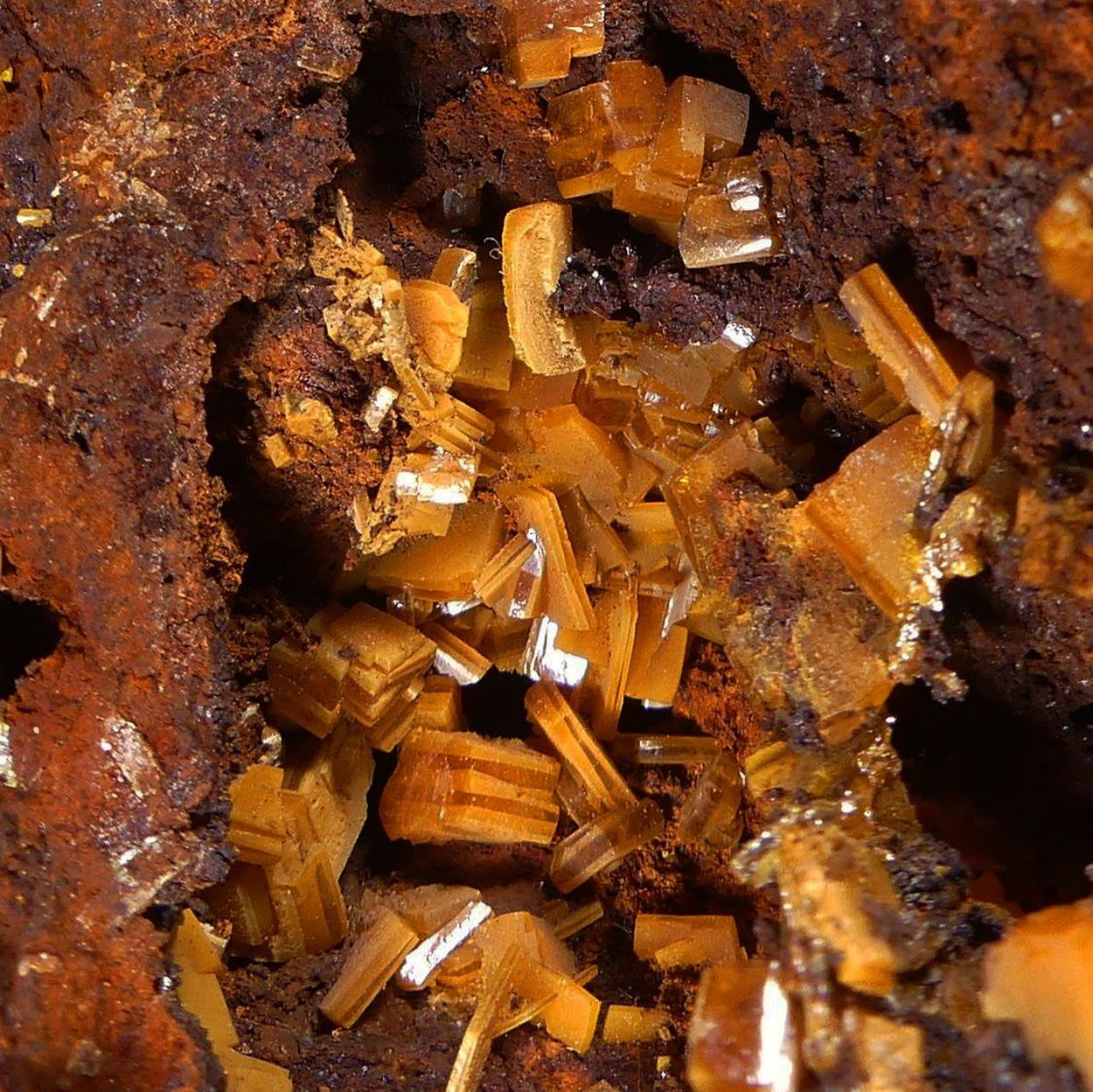 Wulfenite On Galena With Limonite