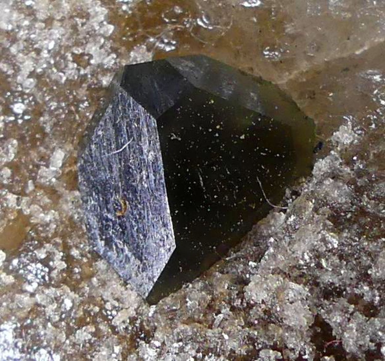 Boracite