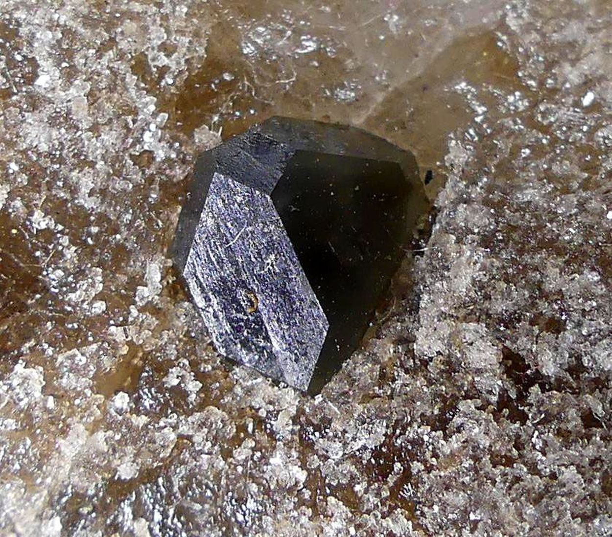 Boracite