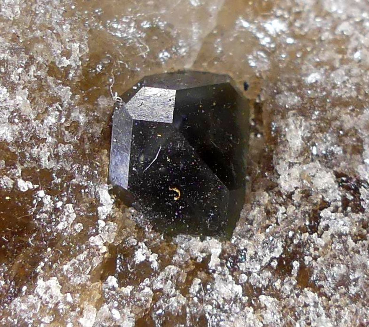 Boracite