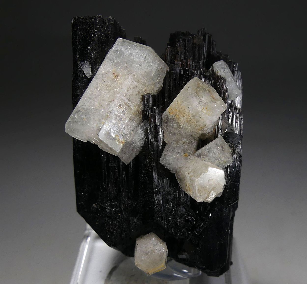 Goshenite On Schorl