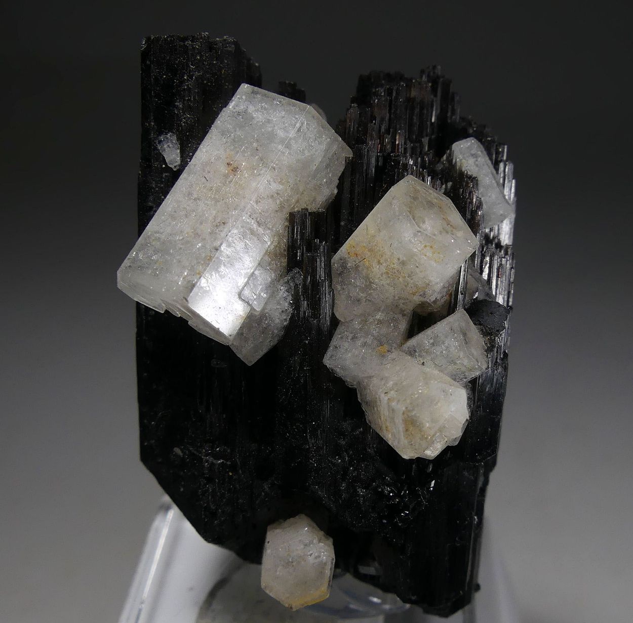 Goshenite On Schorl