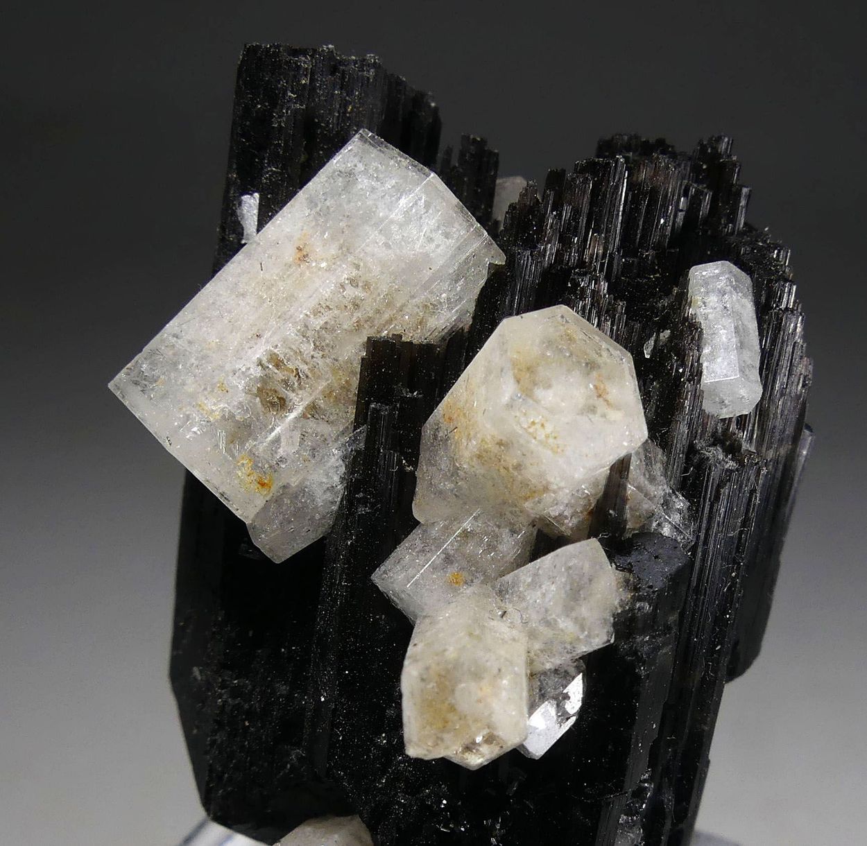 Goshenite On Schorl