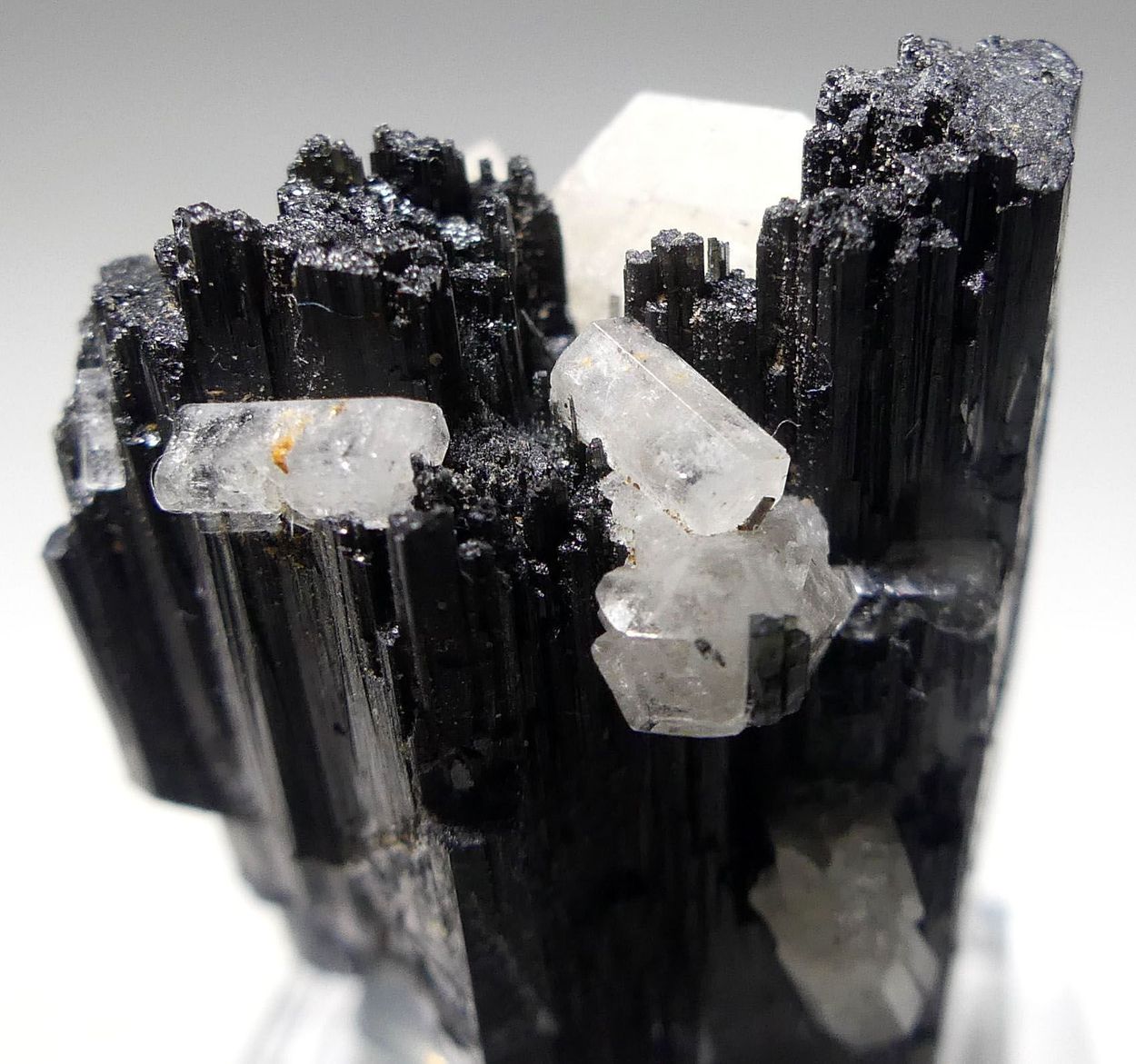 Goshenite On Schorl