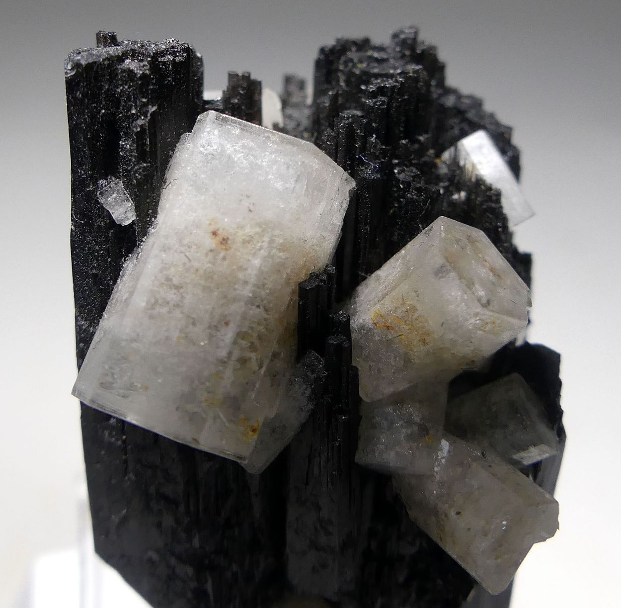 Goshenite On Schorl