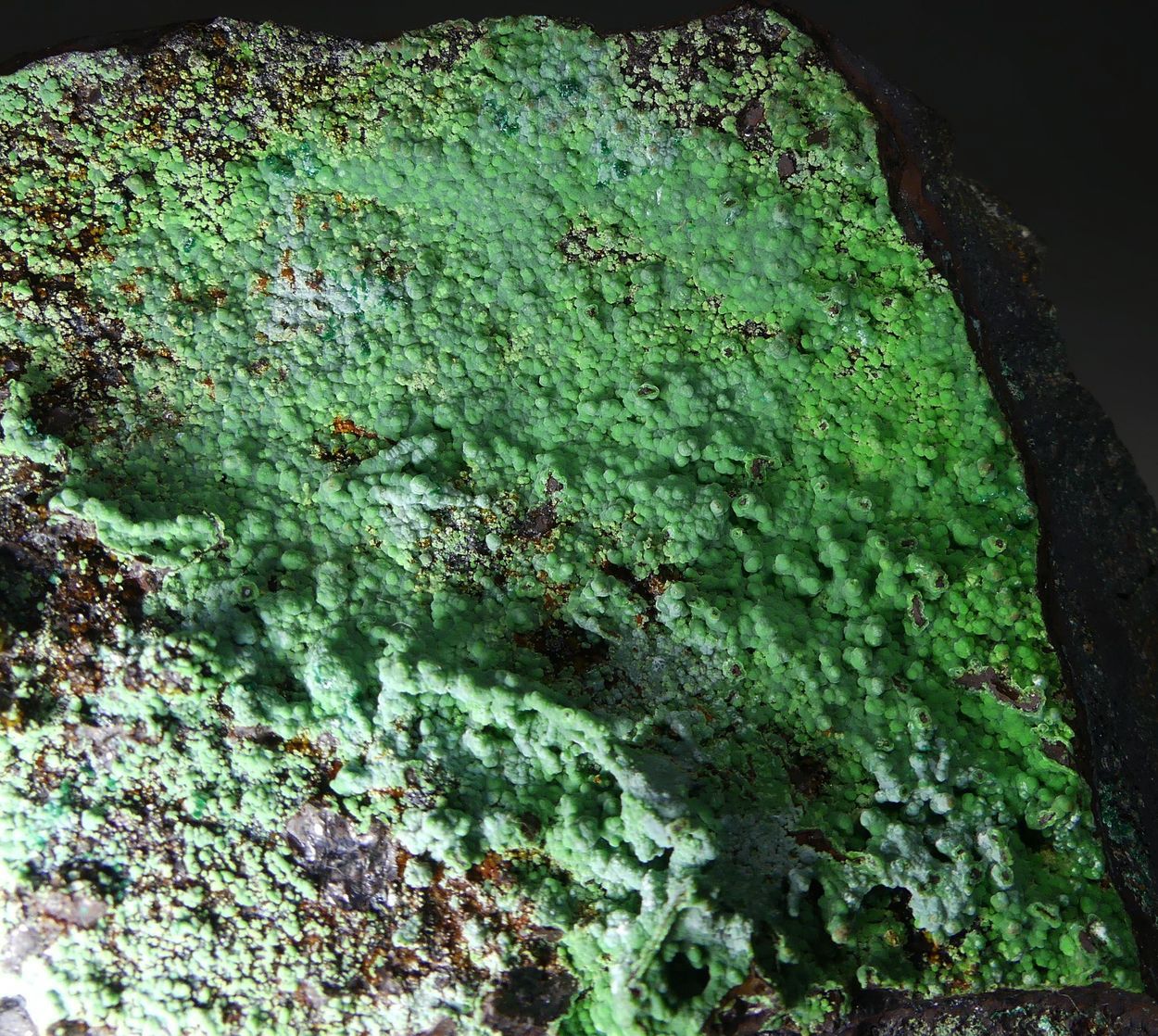 Conichalcite On Limonite