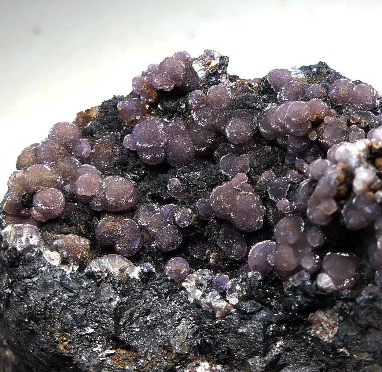 Strengite On Rockbridgeite On Magnetite