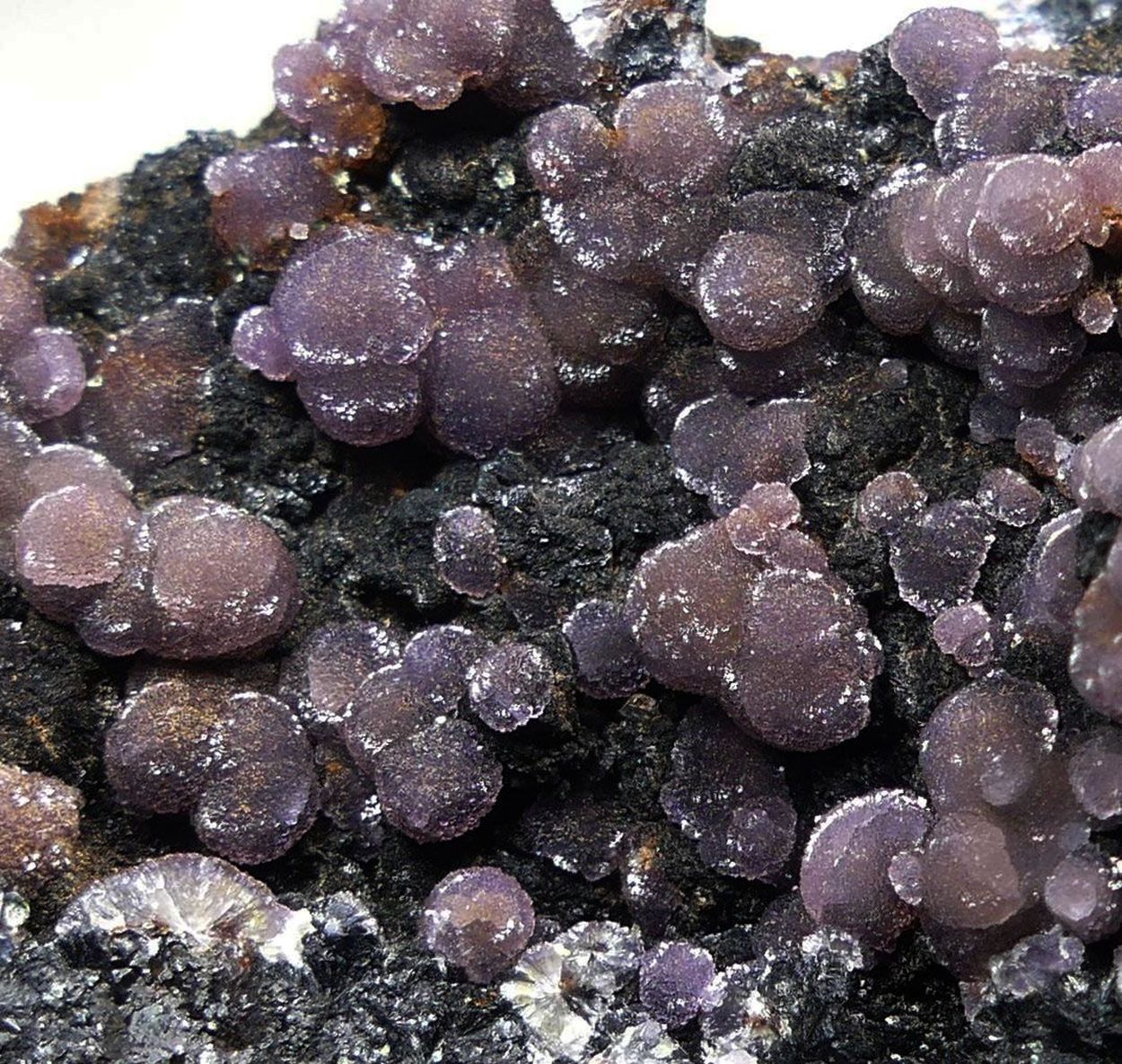 Strengite On Rockbridgeite On Magnetite