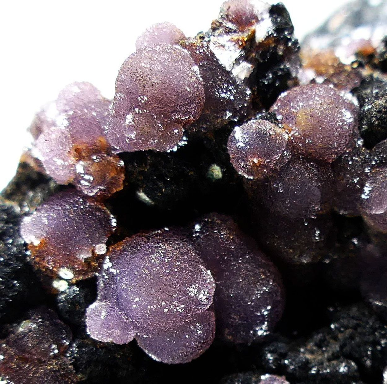 Strengite On Rockbridgeite On Magnetite