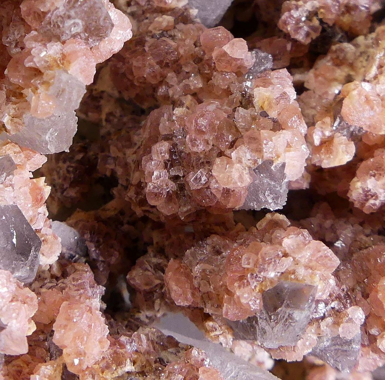 Rhodochrosite On Quartz