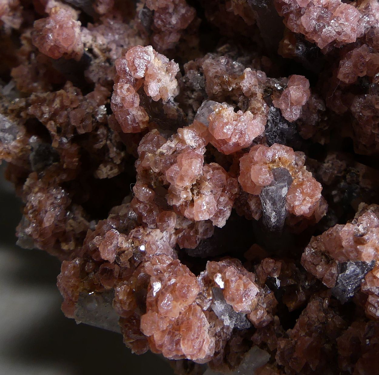 Rhodochrosite On Quartz