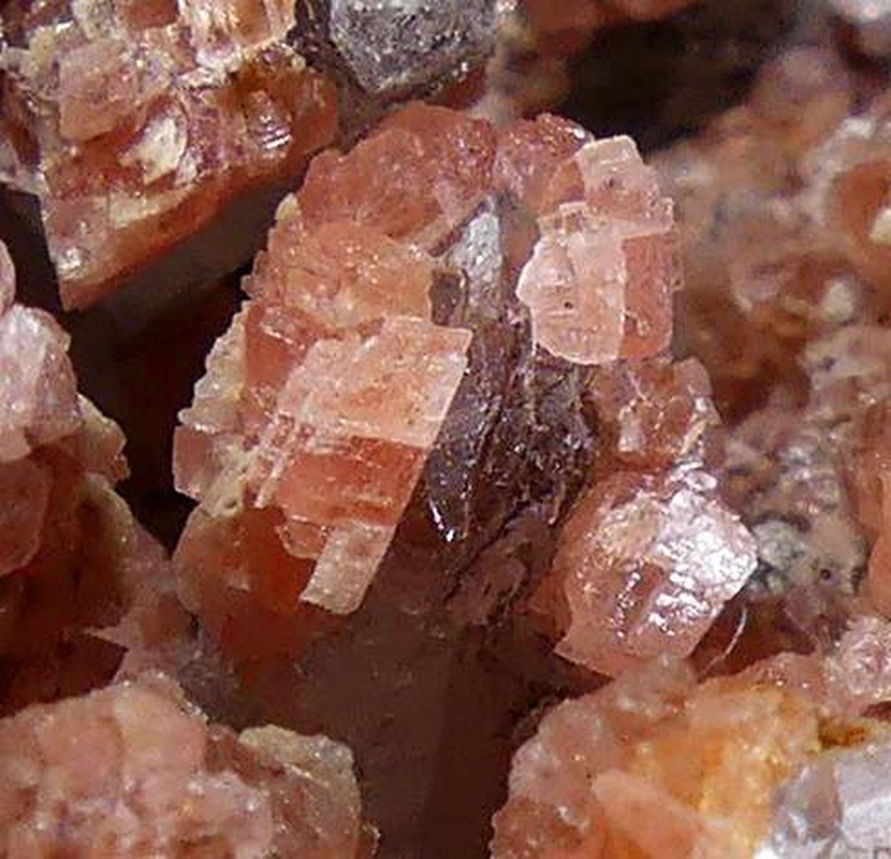 Rhodochrosite On Quartz