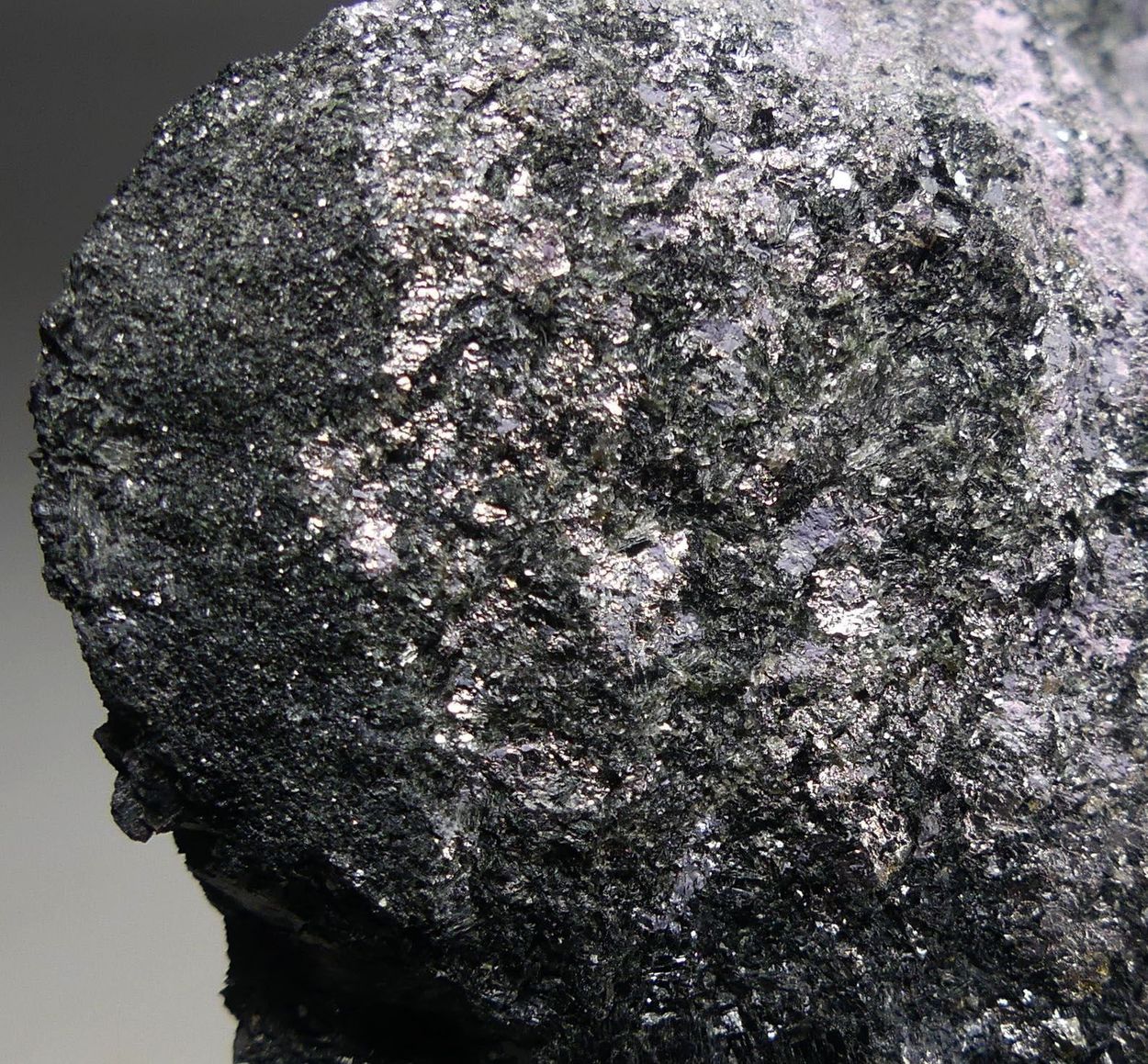 Löllingite Safflorite Erythrite & Hornblende