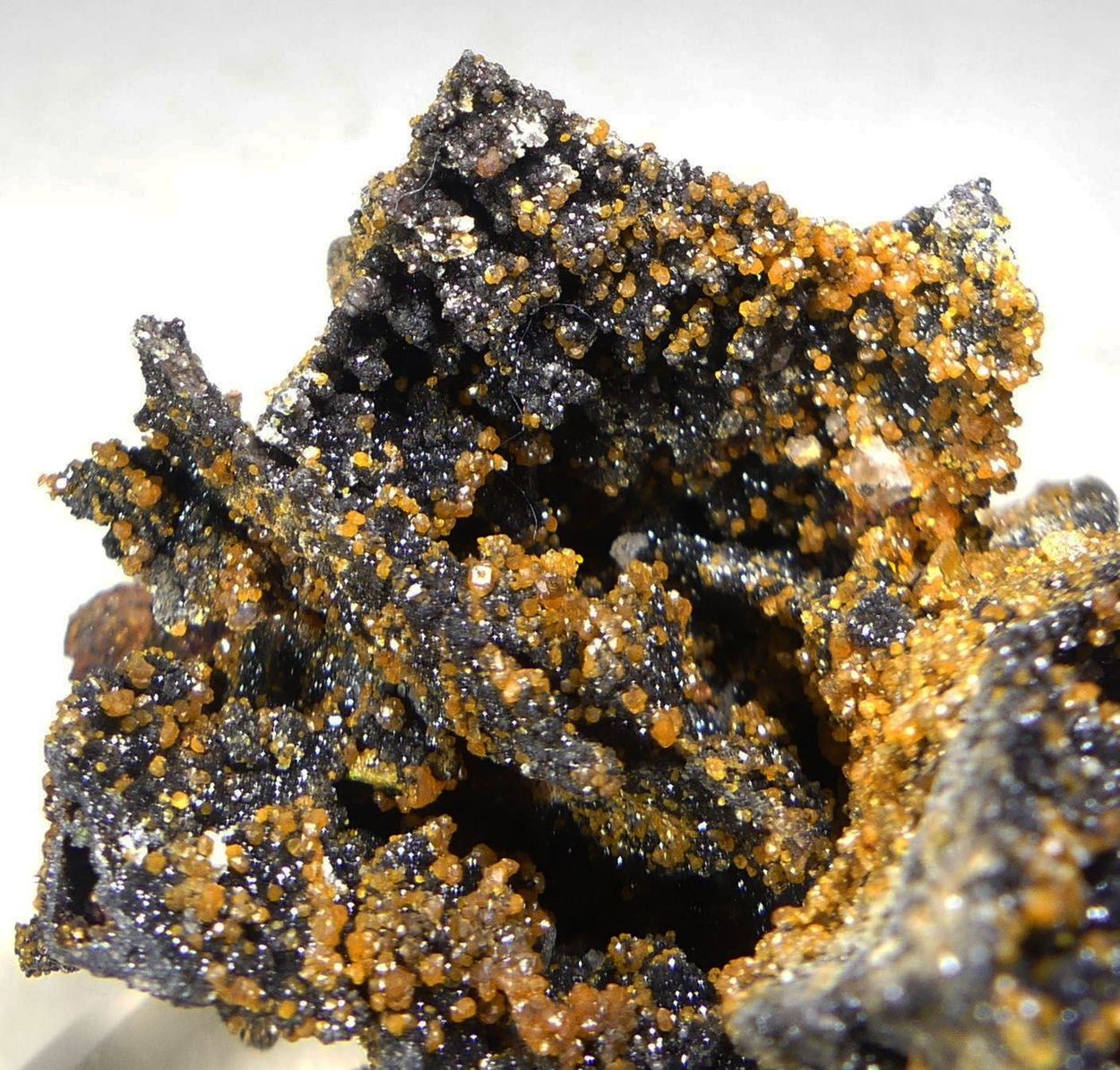 Willemite Psm Descloizite With Wulfenite