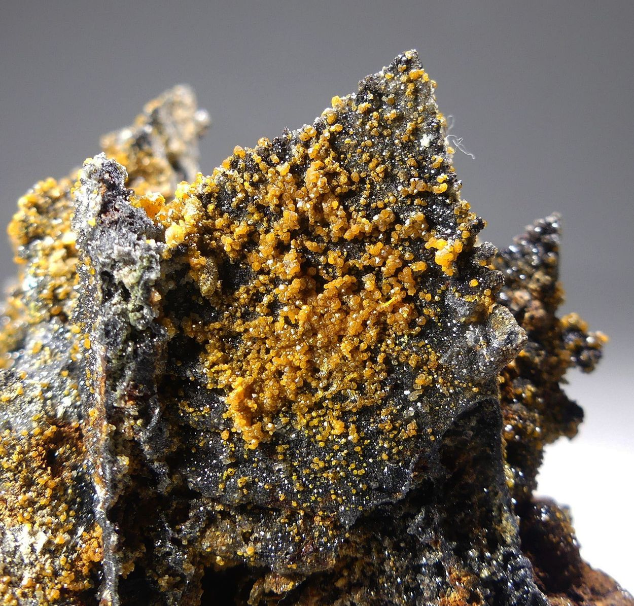Willemite Psm Descloizite With Wulfenite
